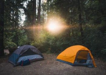 Two tents in the forest and the sun is shining through the leaves.